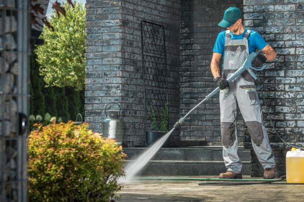 Best Soft Washing for Delicate Surfaces in Dale, IN